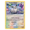 Pokémon TCG: Pokémon Go Radiant Eevee SWSH230